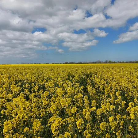 Ostsee In Schoenberg Inklusive 2 Leihfahrraeder Self-check-in * Schönberg in Holstein