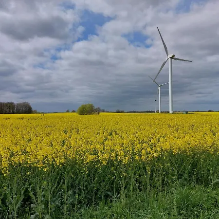 Ostsee In Schoenberg Inklusive 2 Leihfahrraeder Self-check-in Lejlighed