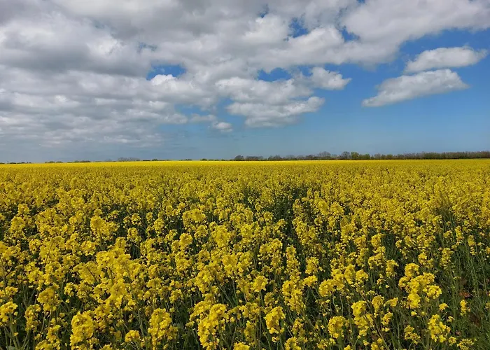 Ostsee In Schoenberg Inklusive 2 Leihfahrraeder Self-check-in * Schönberg in Holstein
